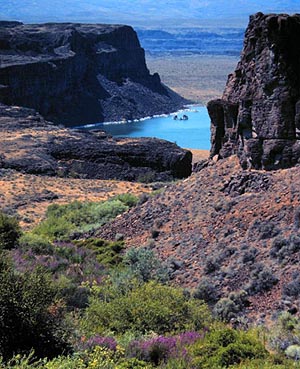 Colombian Basin Flood